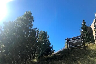 31250 John Wallace Rd in Evergreen, CO - Building Photo - Building Photo