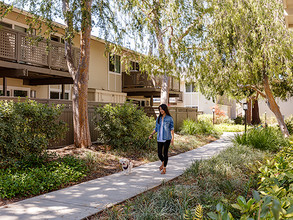 The Markham in Cupertino, CA - Foto de edificio - Building Photo