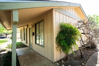 906 Silver Quail Ln in Austin, TX - Building Photo - Building Photo