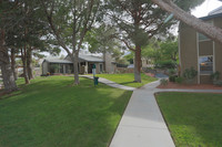 Double Tree Apartments in El Paso, TX - Building Photo - Building Photo