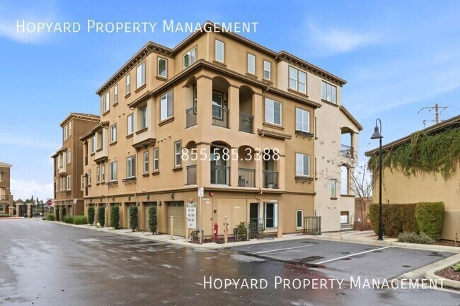 5663 Daylily St in Newark, CA - Building Photo - Building Photo