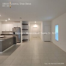 18010 Blissful Stars Dr in Lutz, FL - Building Photo - Building Photo
