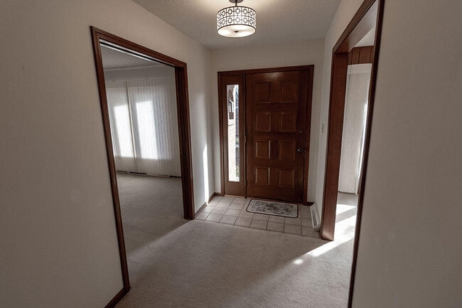 401 Cedar Ln in Columbia, MO - Building Photo - Building Photo