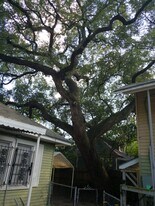 4914 Milam St, Unit A in Houston, TX - Building Photo