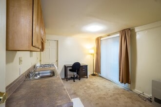 113 Comstock Pl in Syracuse, NY - Building Photo - Building Photo