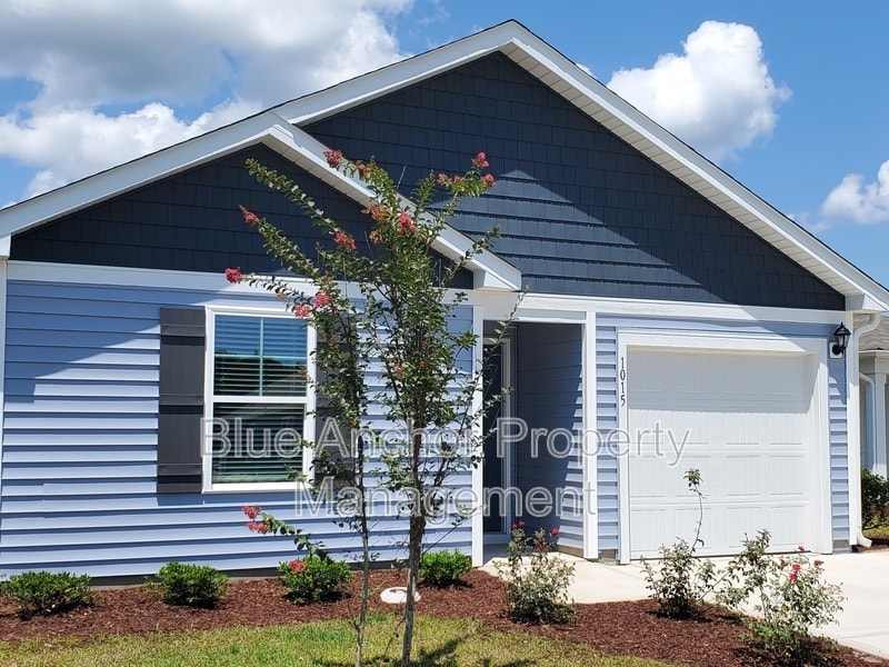 1015 Course Ln in Surf City, NC - Building Photo