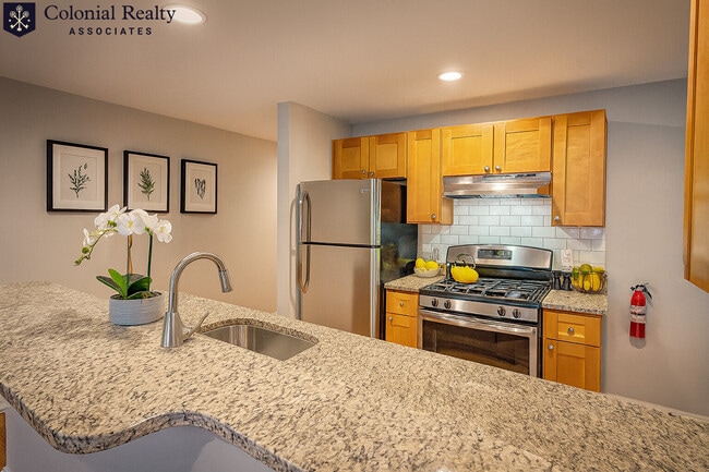 328 St Paul St in Brookline, MA - Building Photo - Building Photo