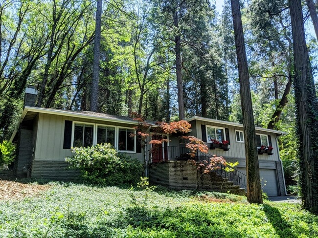 11279 Marjon Dr in Nevada City, CA - Building Photo - Building Photo