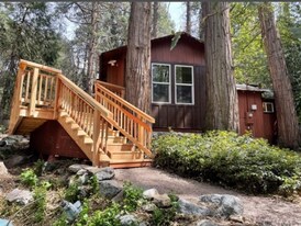 39861 Fern Ln in Forest Falls, CA - Building Photo
