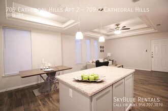 709 Cathedral Hl in Edinburg, TX - Building Photo - Building Photo