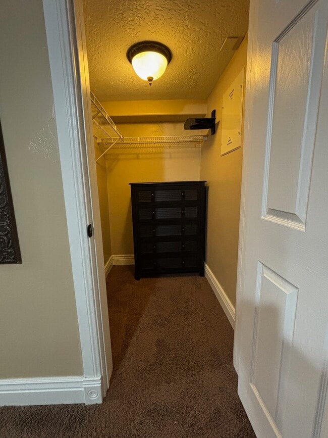 2952 Sandpiper Rd in Eagle Mountain, UT - Building Photo - Building Photo