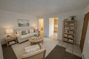 313 Bonnie Ct in Colorado Springs, CO - Building Photo