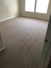 18147 Bridle Club Dr, Unit 18147 in Tampa, FL - Building Photo - Building Photo