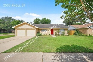 2503 Knoll St in Houston, TX - Building Photo