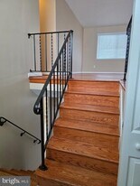 6212 Thomas Dr in Springfield, VA - Building Photo