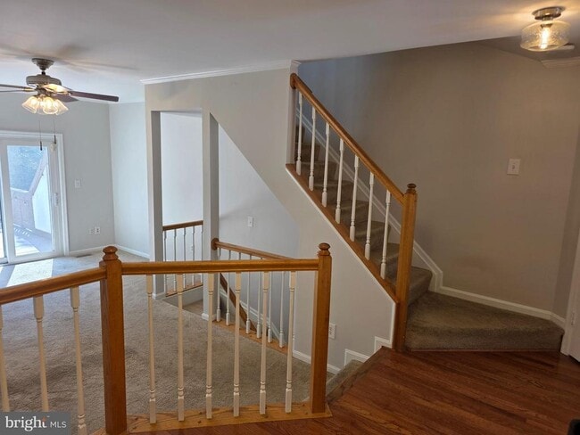 5831 Norham Dr in Alexandria, VA - Building Photo - Building Photo