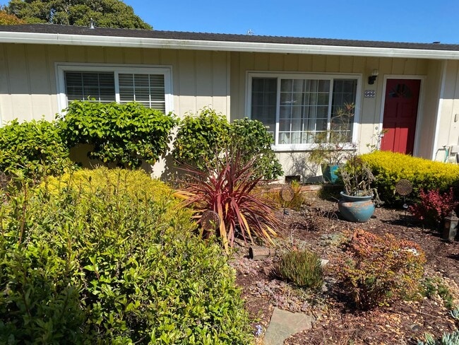 505 Park St in Pacific Grove, CA - Building Photo - Building Photo