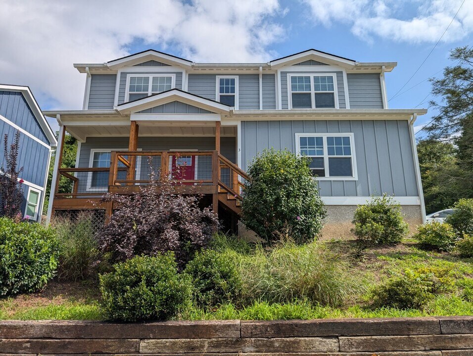 3 Alice Clement Ln in Asheville, NC - Building Photo