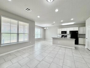 113 Homily Dr in Pflugerville, TX - Foto de edificio - Building Photo