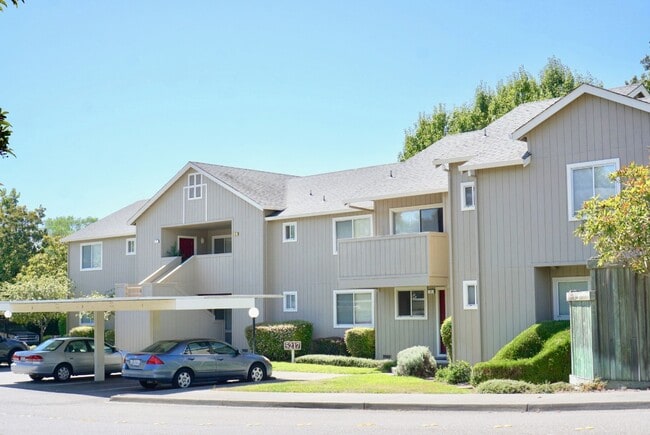 Parkwood Court Apartments in Santa Rosa, CA - Building Photo - Building Photo
