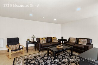 323 E Magnolia St in Fort Collins, CO - Building Photo - Building Photo