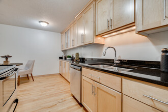 311 Kenwood Apartments in Minneapolis, MN - Building Photo - Building Photo