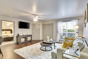 Forest Park in Austin, TX - Building Photo