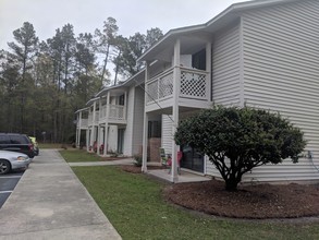 Hampton Place Apartments in Hampton, SC - Building Photo - Building Photo