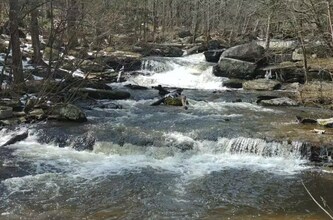60 Ruth Way Rd in Bethel, NY - Building Photo - Building Photo