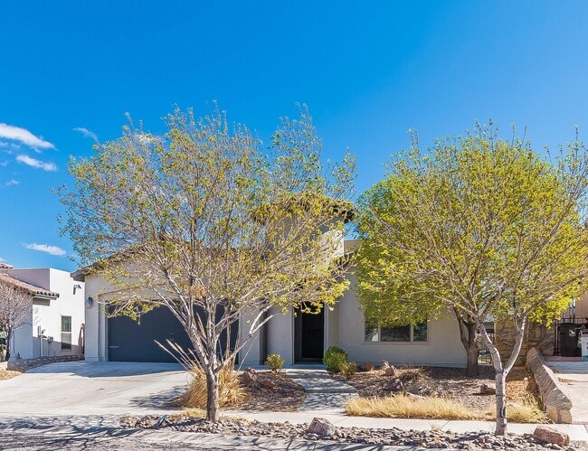 871 Maple Park Ave in Santa Teresa, NM - Building Photo - Building Photo