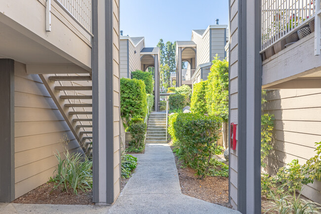 Meadow Creek Apartments in San Marcos, CA - Foto de edificio - Building Photo