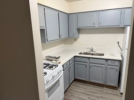 844 College Blvd, Unit 101 in Addison, IL - Building Photo