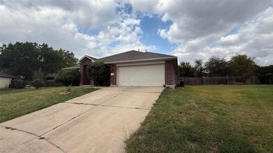 1012 Ranier Cove in Round Rock, TX - Building Photo - Building Photo