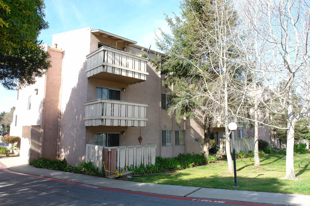 Casanova Plaza Apartments in Monterey, CA - Building Photo