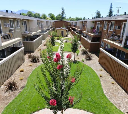 Mountain View Apartments in Concord, CA - Building Photo - Building Photo