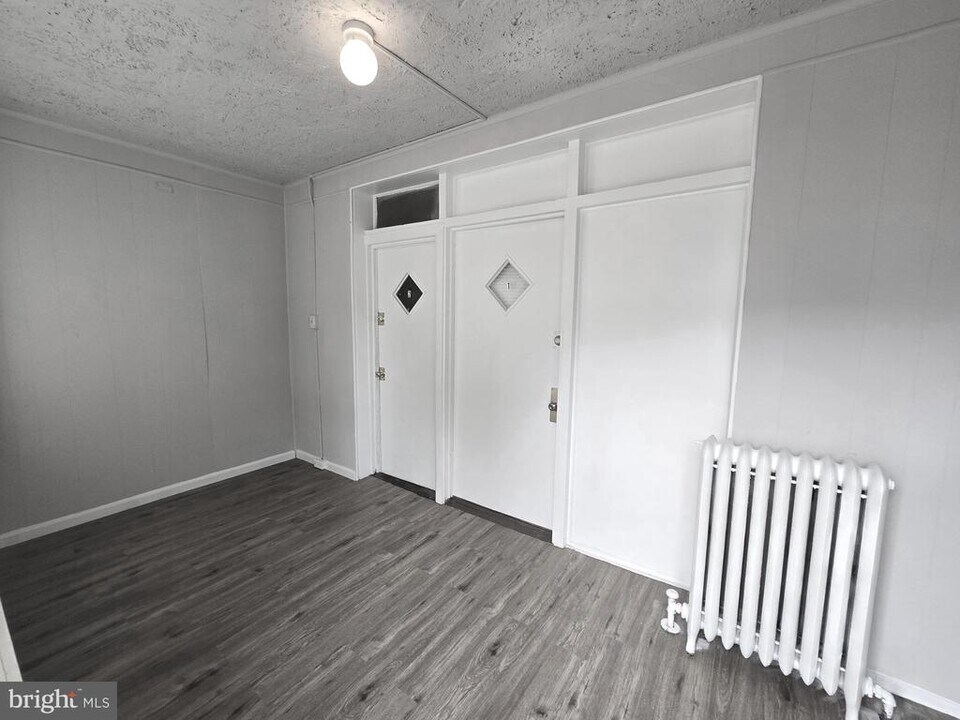 259 W Ruscomb St in Philadelphia, PA - Building Photo