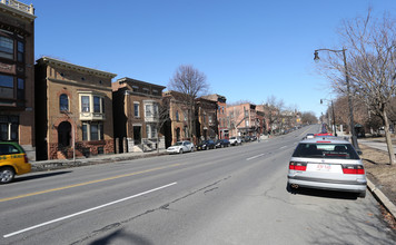 546 Madison Ave in Albany, NY - Building Photo - Building Photo