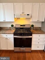 46754 Woodmint Terrace in Sterling, VA - Building Photo