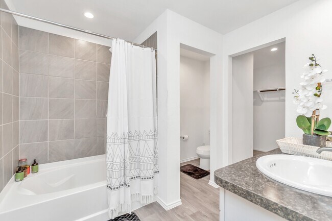 24302 Springfield Valley Dr in Spring, TX - Building Photo - Building Photo