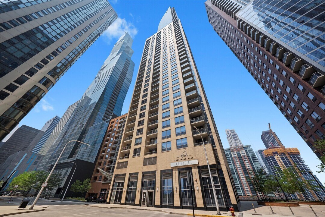 420 E Waterside Dr in Chicago, IL - Building Photo