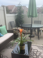 0 Cotswold Cir in Ocean Township, NJ - Building Photo - Building Photo