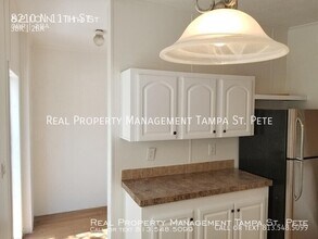 8210 N 11th St in Tampa, FL - Building Photo - Building Photo
