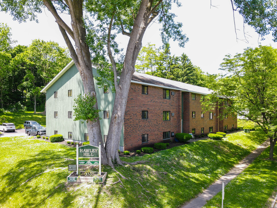 401 Winton St in Syracuse, NY - Building Photo