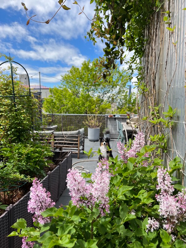 192 Spencer St in Brooklyn, NY - Building Photo - Building Photo