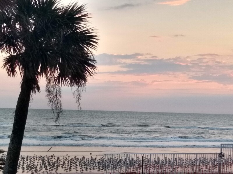 935 S Atlantic Ave in Daytona Beach, FL - Building Photo