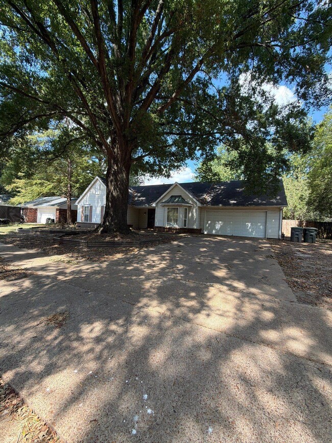 property at 6816 Bainbridge Dr