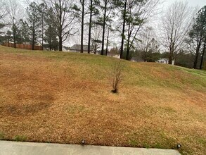317 Providence Hall Dr in Sanford, NC - Building Photo - Building Photo