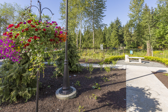 Timberlake Park Apartments in Issaquah, WA - Foto de edificio - Building Photo