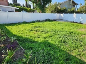 17832 Rhoda St in Encino, CA - Building Photo - Building Photo