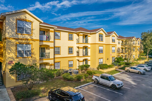 The Pinnacle at Carrollwood Apartments